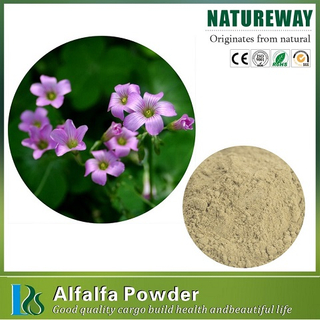 Alfalfa Powder.jpg